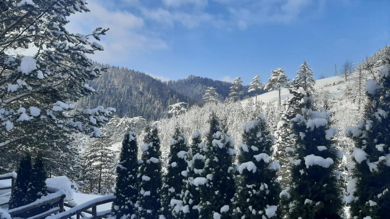 Apartman Suncana Dolina, Zaovine Luaran gambar