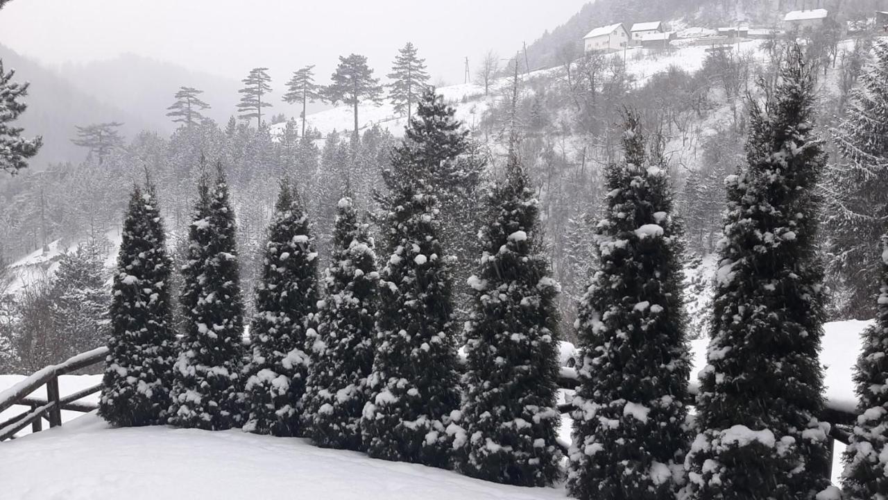 Apartman Suncana Dolina, Zaovine Luaran gambar